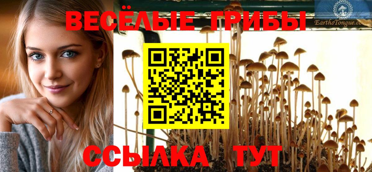 Галлюциногенные грибы ЛСД  Вход с VPN  Барабинск  Псилоцибиновые грибы мухоморы 
